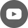 Youtube BYD Bắc Việt Hải Phòng